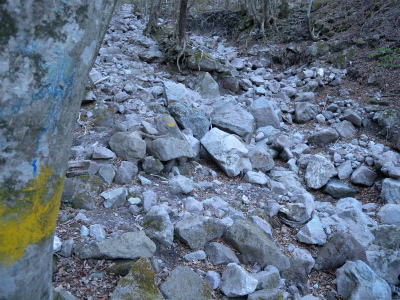 e0272335_21124858.jpg