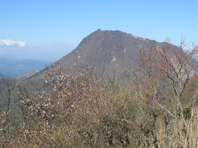 e0272335_21222820.jpg