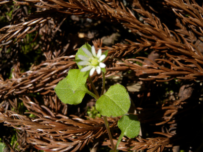 e0272335_21245010.jpg