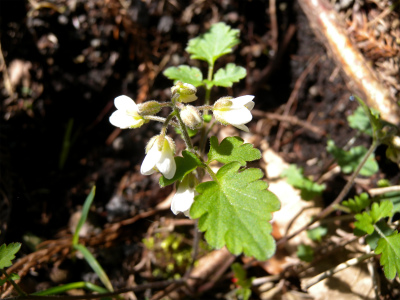e0272335_21251857.jpg