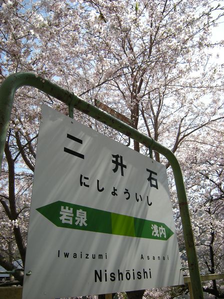 桜満開!JR岩泉線二升石駅にて_b0206037_6294475.jpg