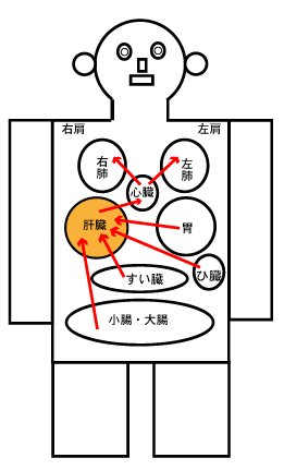 マラソンによる心臓疲労からの首痛 〜ある日の施術より〜_e0073240_23363732.gif