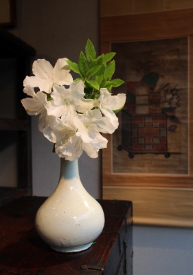 花だより_a0279848_17521523.jpg