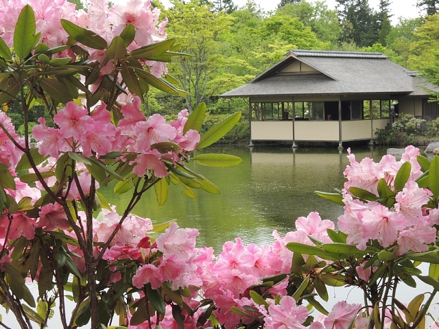 昭和記念公園の日本庭園 こもれびの丘 Happy Photo Life