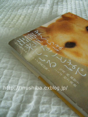 犬の本【ぼくらは簡単なことばで出来ている】_a0286855_9313853.jpg