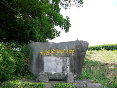 菊池水源茶 まもなく「八十八夜」 お茶の新芽が芽吹いてますよ!_a0254656_17145047.jpg