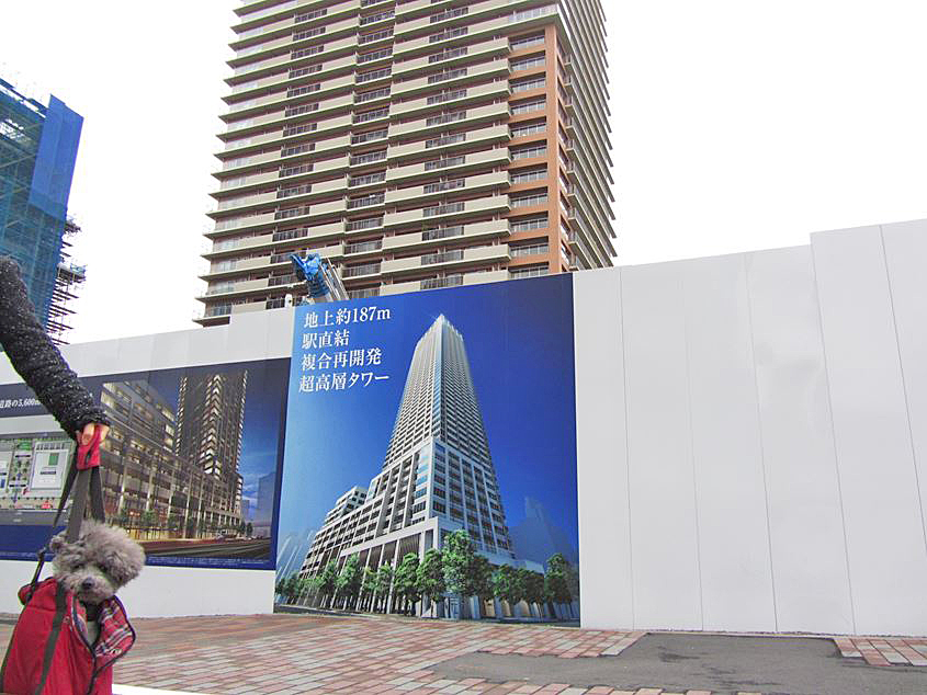 e0129656_2351353.jpg