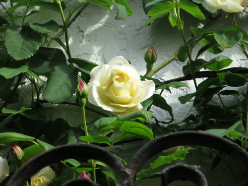 d0231057_14401139.jpg