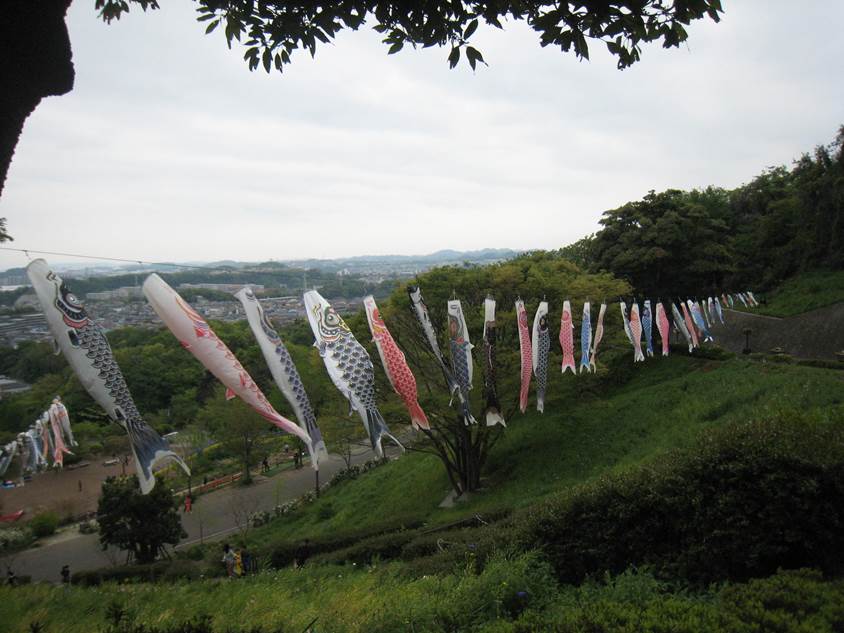 横浜金沢自然公園の「鯉のぼり」_a0240761_17155315.jpg