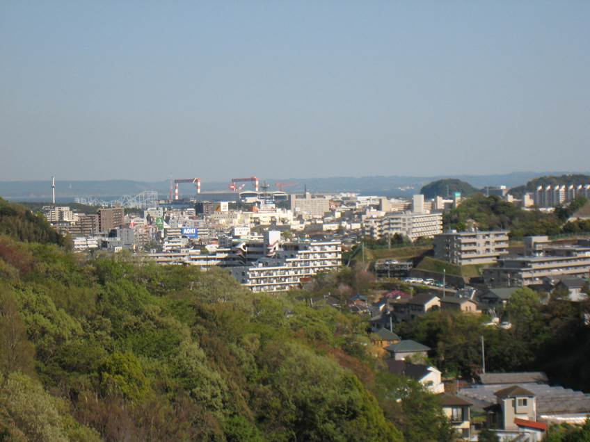 横浜金沢自然公園の「鯉のぼり」_a0240761_1716389.jpg