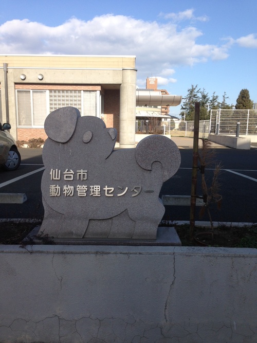 c0105569_075529.jpg