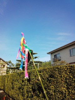 プチ便り(オバサン珍道中)_a0206870_1742592.jpg