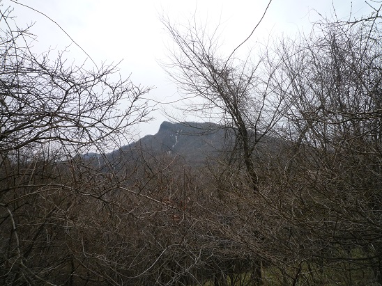 c0273271_11101887.jpg