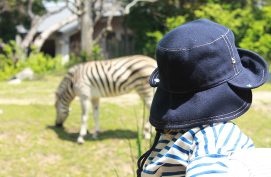 天王寺動物園_b0170373_15212854.jpg