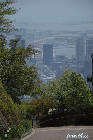 b0243873_13282861.gif