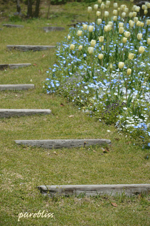 b0243873_13291373.gif