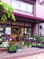 f0278281_2353045.jpg