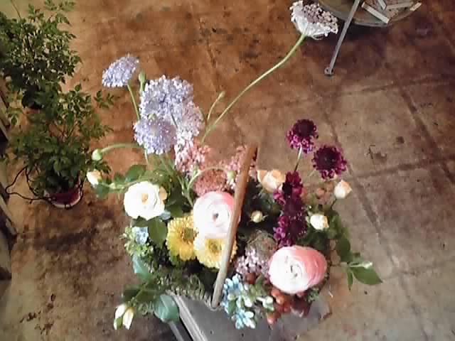 e0197983_2223731.jpg