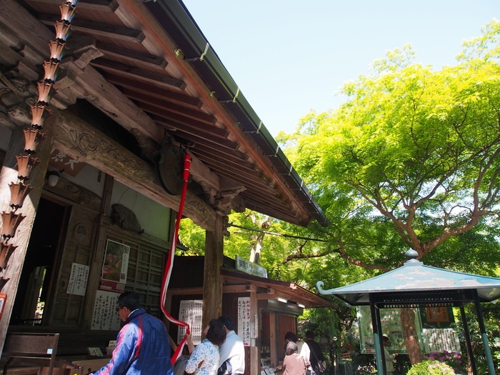 2013.4.26撮影　つつじの大興善寺(佐賀県基山町）_a0149488_20325164.jpg