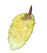 d0146792_12514810.gif