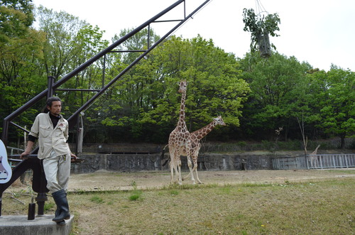 Sean、東山動物園へ行く_d0196594_12101719.jpg