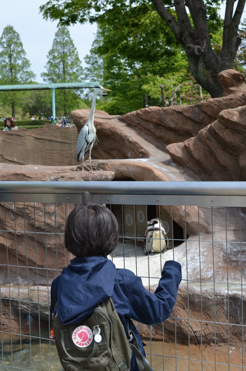 Sean、東山動物園へ行く_d0196594_1223628.jpg