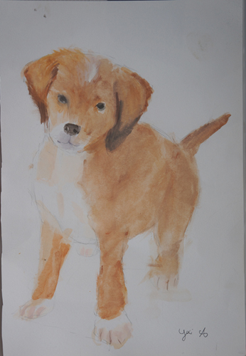 ユキちゃん作「犬」_f0106597_16475386.jpg