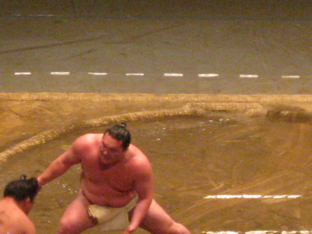 a0224502_1632534.jpg