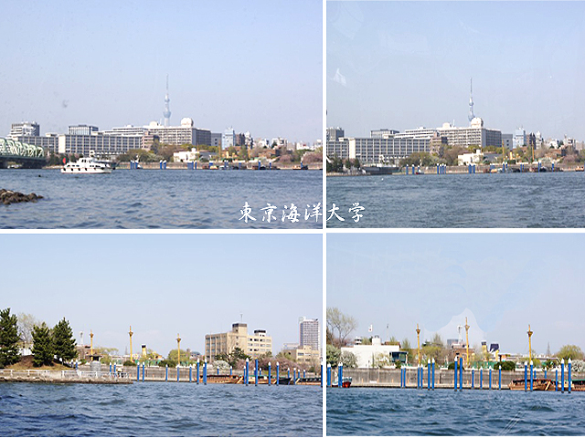 e0039703_18292145.jpg