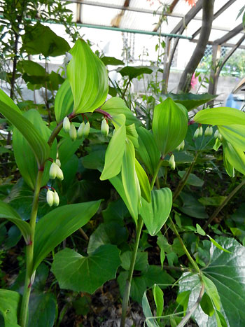 e0118904_201545.jpg