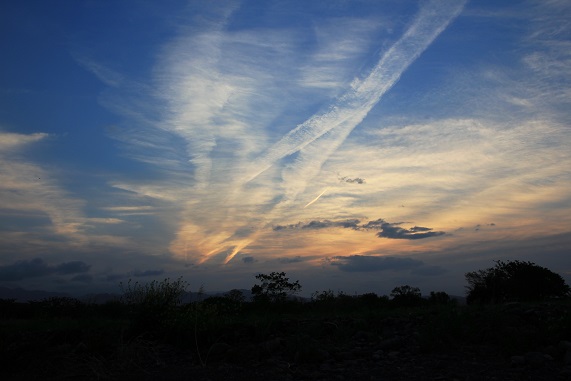 e0123808_0165466.jpg