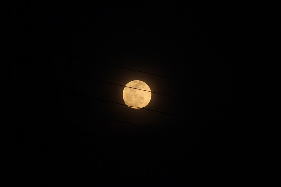 e0123808_0175263.jpg