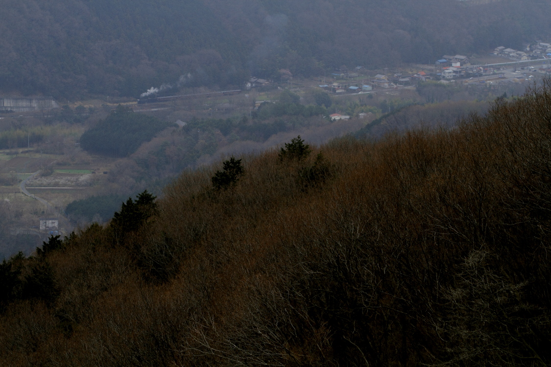 春まだ浅い頃 - 2013年早春・秩父 - _b0190710_1130234.jpg