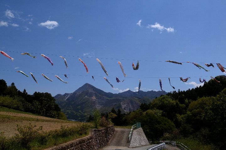 a0268412_22492867.jpg