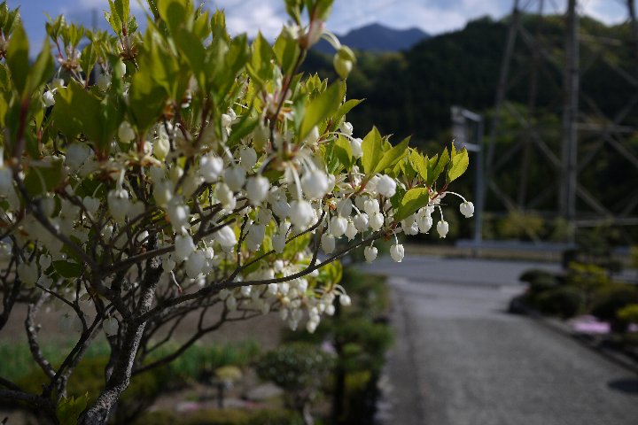 a0268412_22513148.jpg