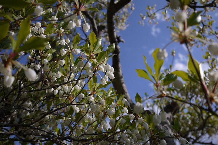 a0268412_22513349.jpg