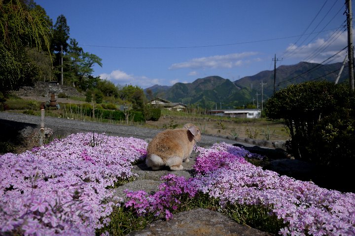 a0268412_22565781.jpg