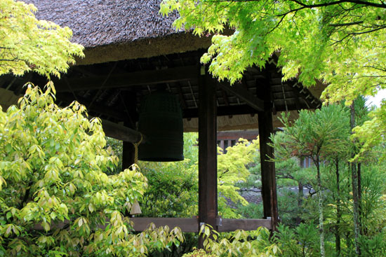 光悦寺 青もみじ_e0048413_18245996.jpg