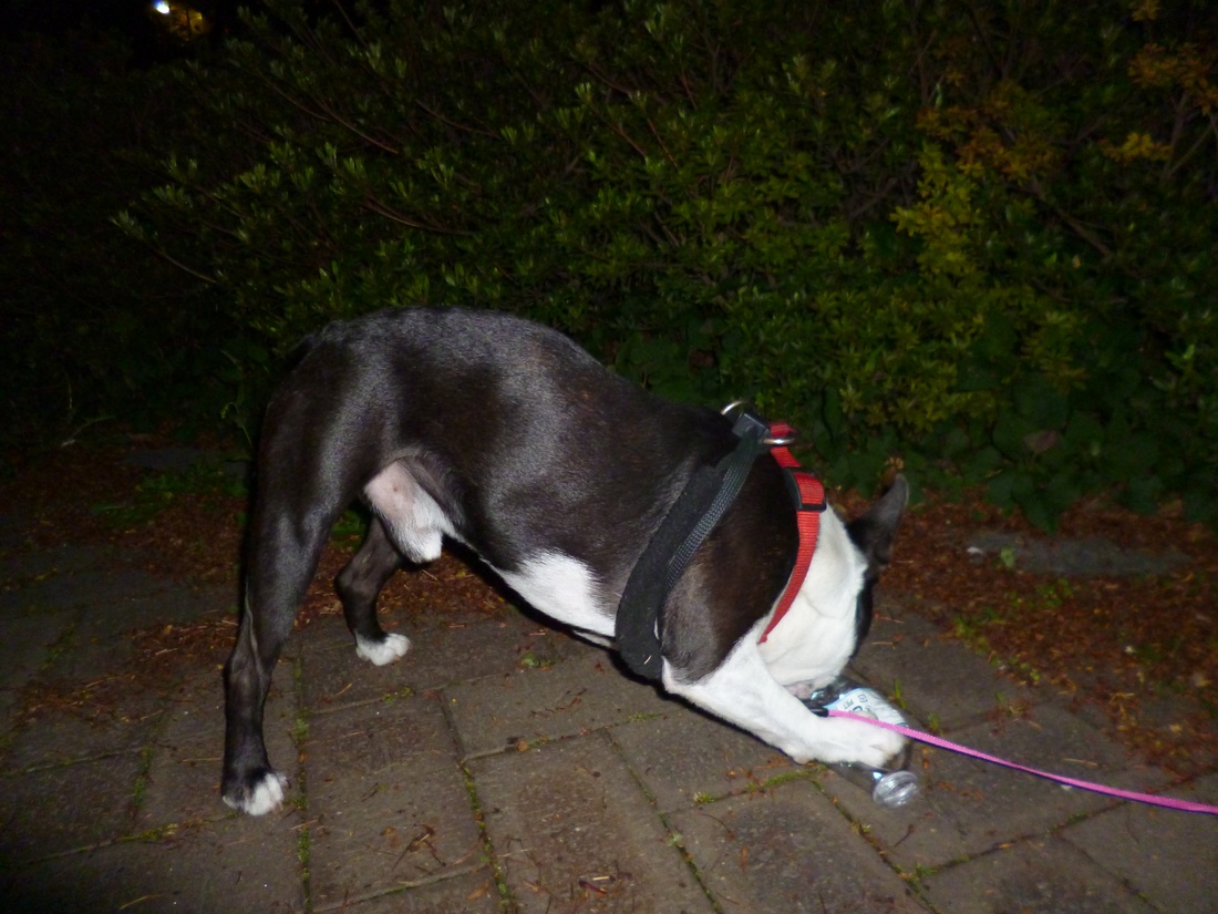 c0280416_0191625.jpg
