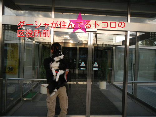 a0232619_20363627.png