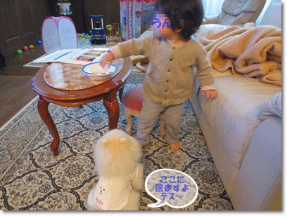 b0167519_20303065.gif