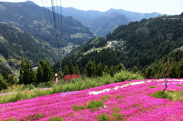 f0248120_9103266.jpg