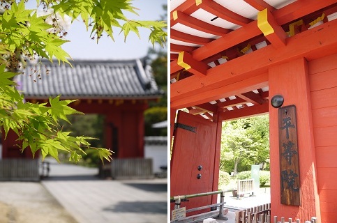 お茶の香り漂う街 ~ 京都・宇治 ~_c0235725_1946976.jpg