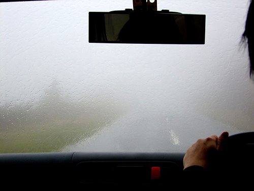 a0000029_8395525.jpg