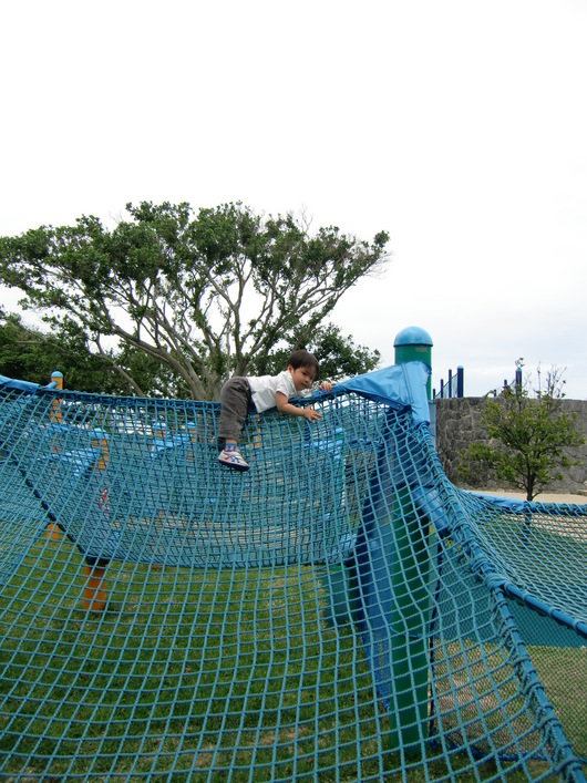 美ら海水族館①_e0240129_11541624.jpg