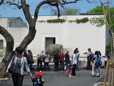 動物園_c0077531_23175760.jpg