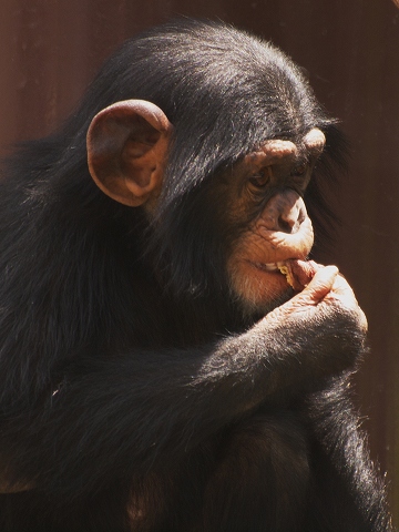 動物園_c0077531_23262624.jpg