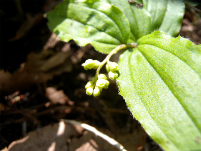 e0272335_1202636.jpg