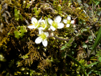 e0272335_1212150.jpg