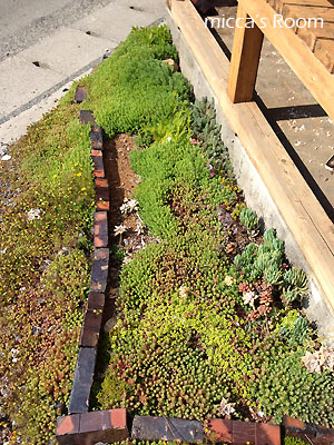 b0245038_20581110.jpg